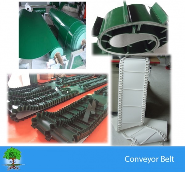 Polyester conveyor belts- Food conveyor belts